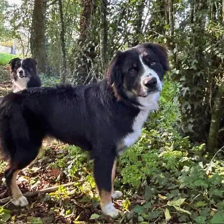 Les Philous Gourmands