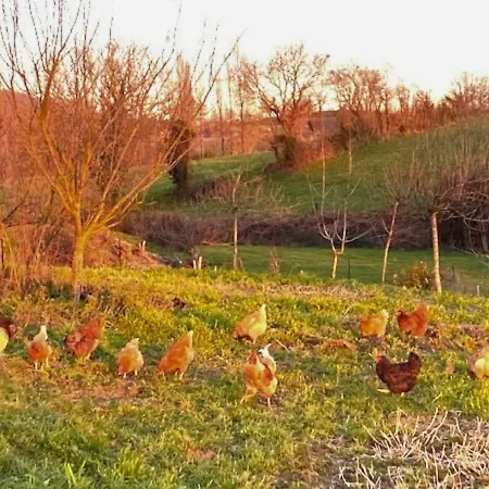 住宿加早餐酒店 Les Philous Gourmands