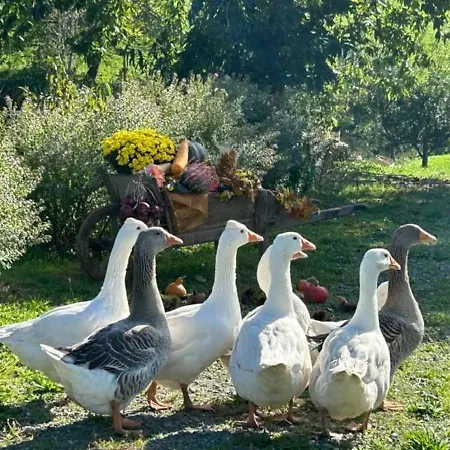 Bed & Breakfast Les Philous Gourmands Saint-Paul-en-Pareds