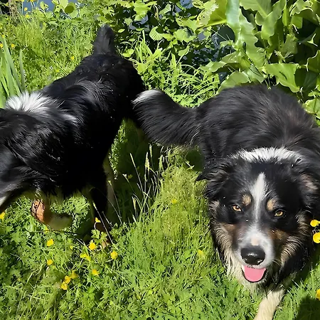 Les Philous Gourmands 住宿加早餐酒店