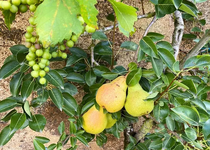 Couette-café Les Philous Gourmands