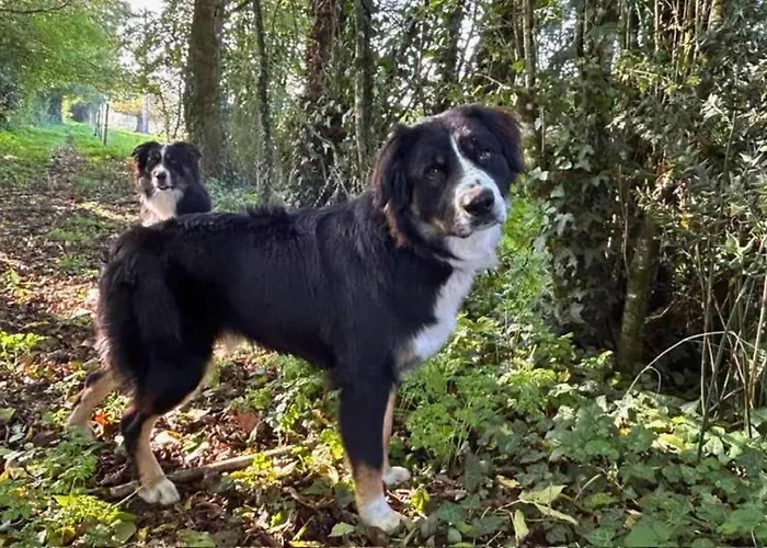 Les Philous Gourmands