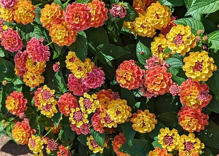 Les Philous Gourmands Nocleg ze śniadaniem 3*