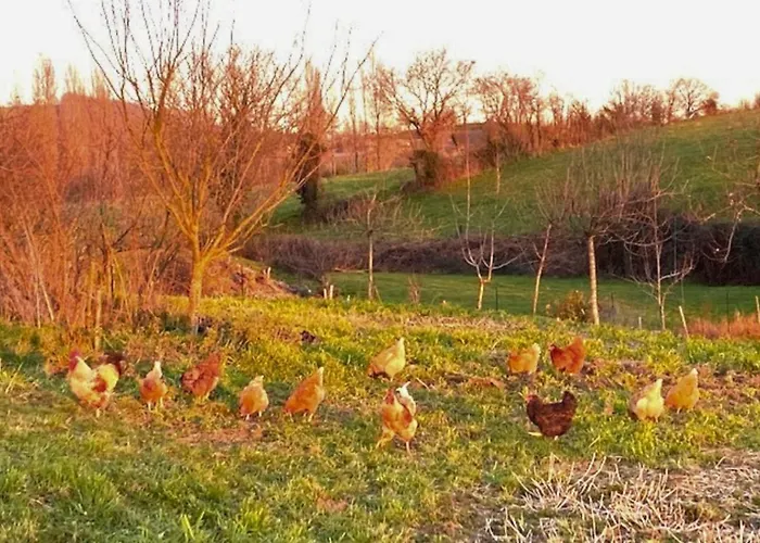 Couette-café Les Philous Gourmands