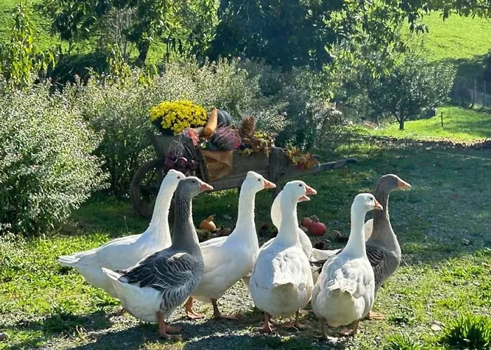 Couette-café Les Philous Gourmands Sevremont