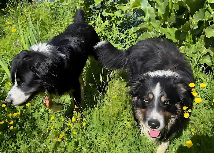 Les Philous Gourmands Couette-café